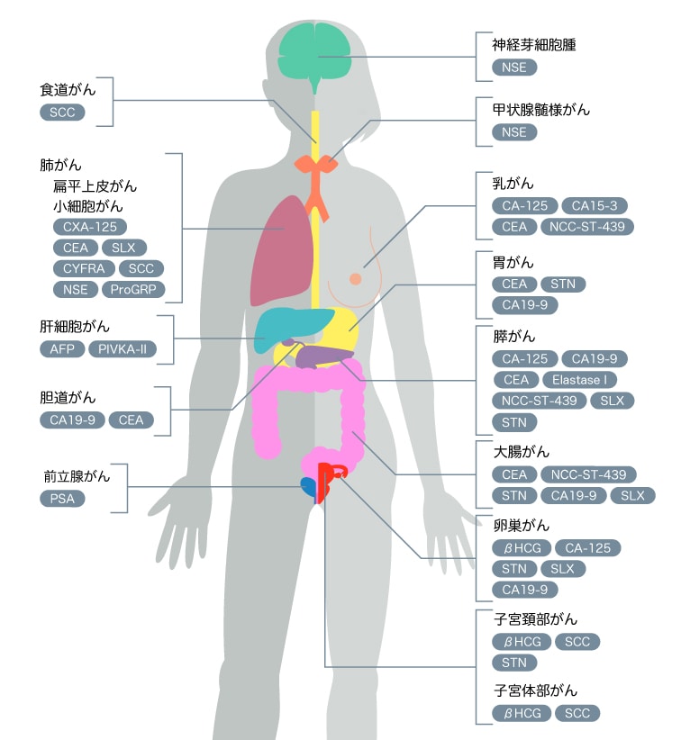 日本名醫癌症分類 - 東鄰